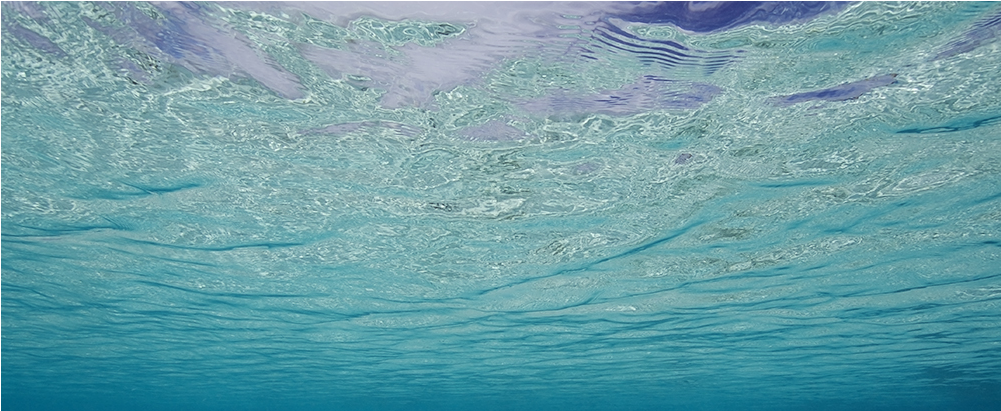 Surface - Ocean (1000x1000), Png Download