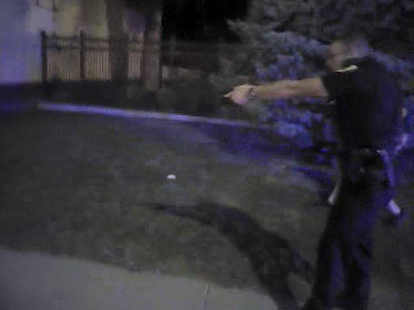 Bodycam Footage Shows Police Shooting In Salt Lake - Police (1920x1080), Png Download