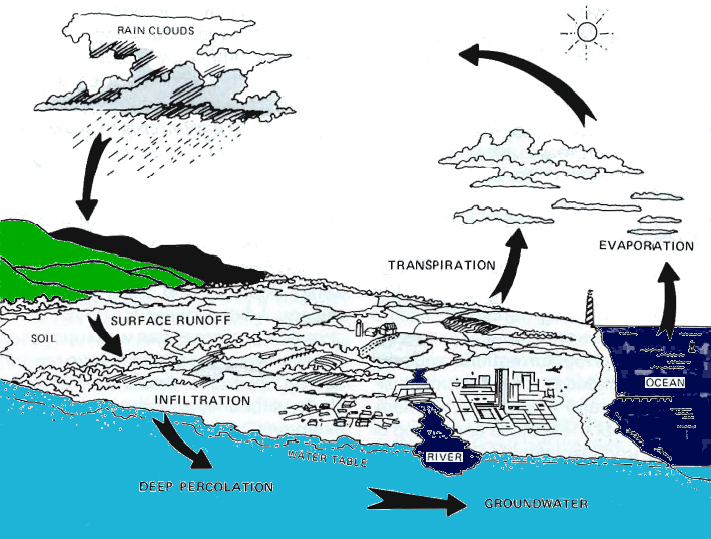 Water Cycle Of Virginia Beach (711x539), Png Download