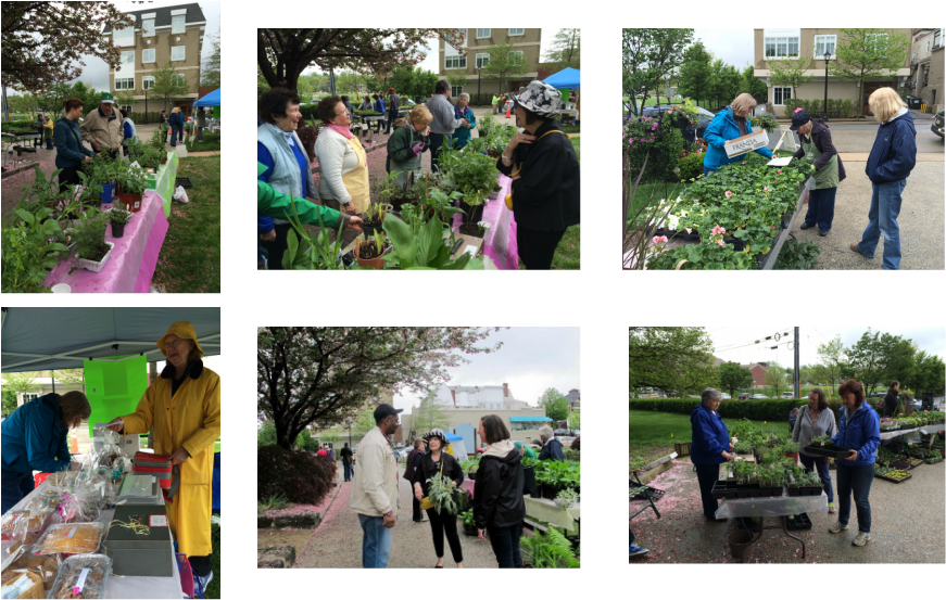 Picture - Botanical Garden (871x553), Png Download