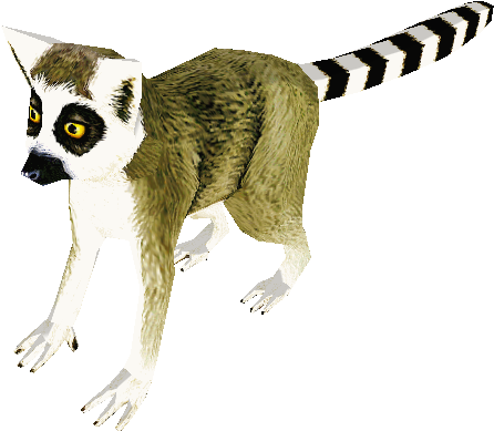 Download Zip Archive - Madagascar Cat (750x650), Png Download