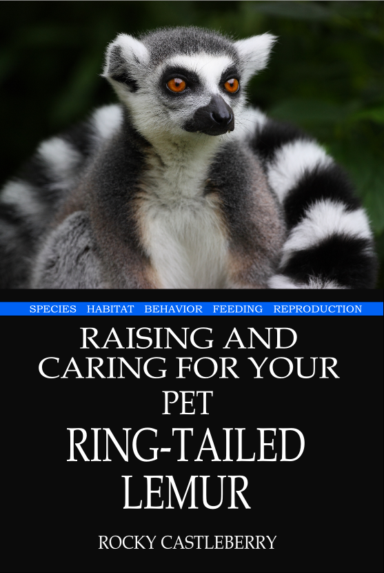 Books On Raising Exotic Animals Are Just Out - Ring Tailed Lemur Pillow Case (557x830), Png Download