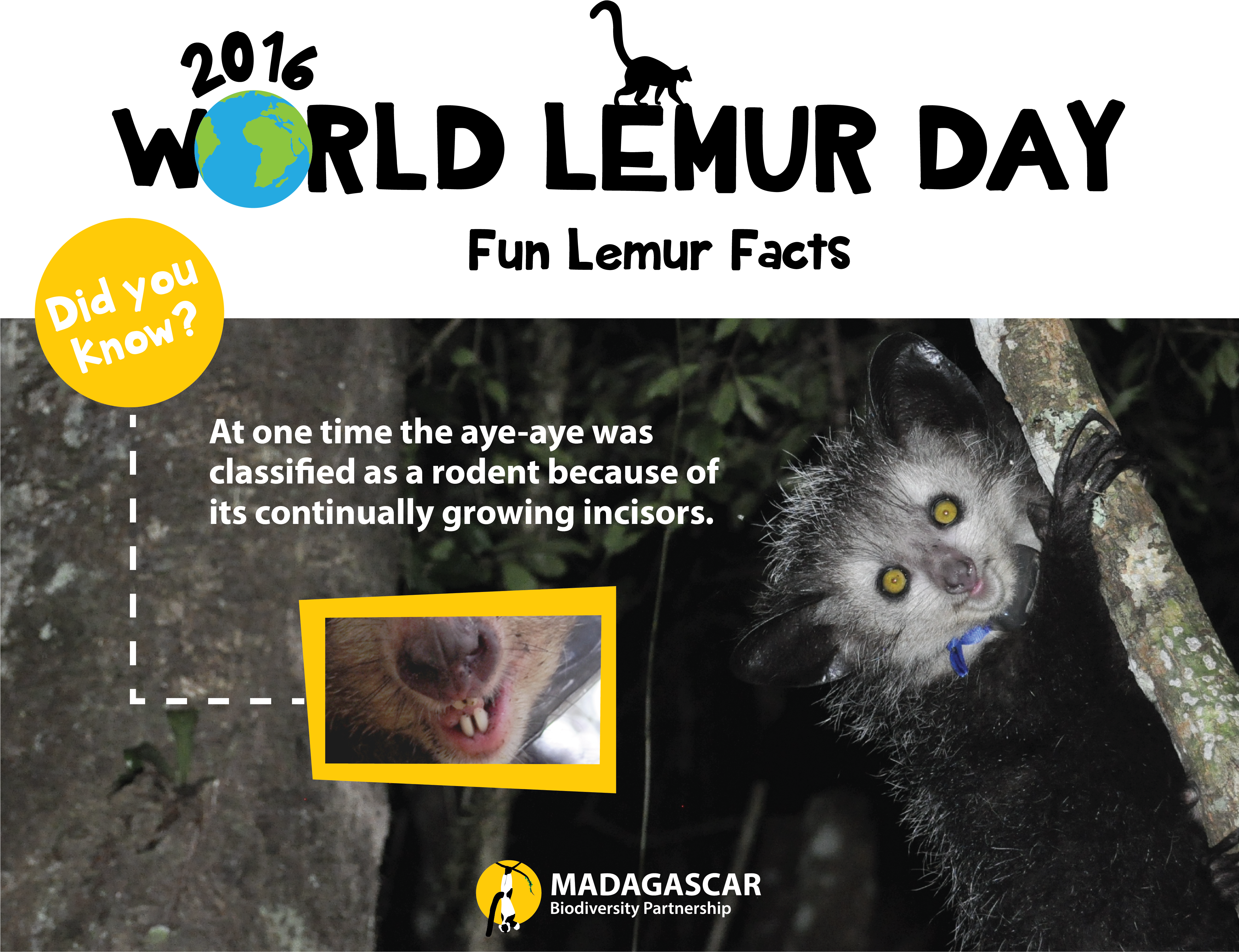 Fun Fact 1 Wld - Madagascar (4225x3348), Png Download