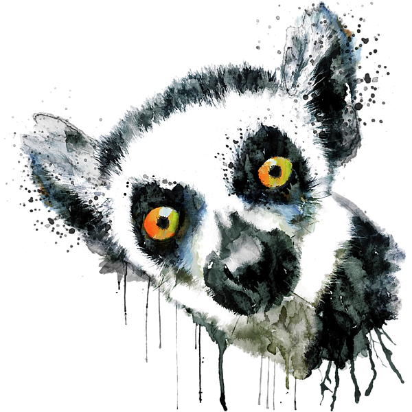 Bleed Area May Not Be Visible - Lemur Artwork (600x600), Png Download