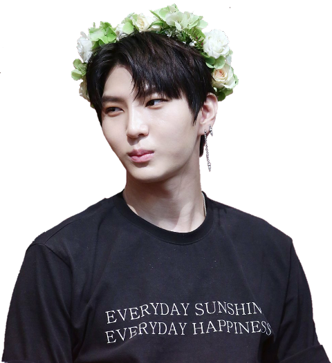 Vixx (480x526), Png Download