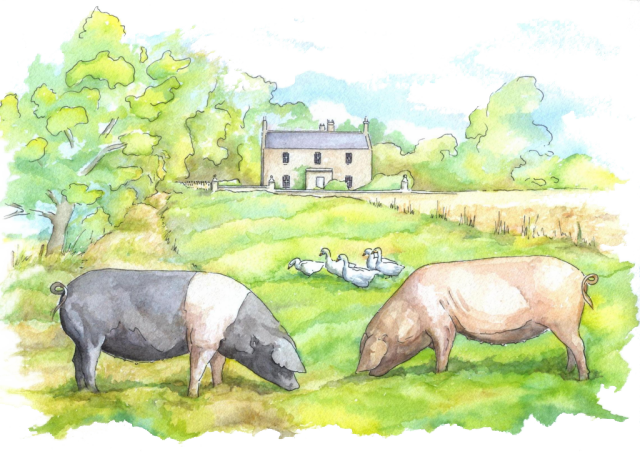 Hunting Hall Farm (640x456), Png Download