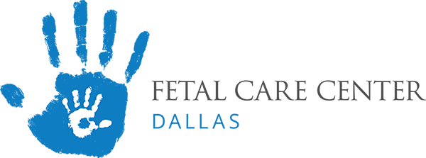 Fetal Care Center Dallas - Dll Financial Solutions Partner (600x223), Png Download