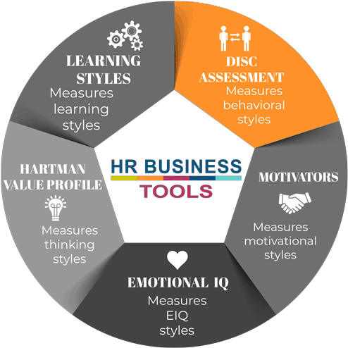 Disc Assessment - Customer Service - Disc Assessment (500x499), Png Download