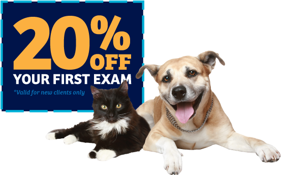 20% Off Your Exam - Mars Petcare (600x371), Png Download