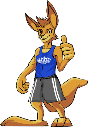 Summit Trampoline Park (290x419), Png Download