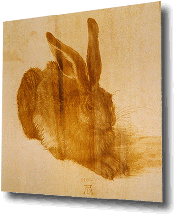 Albrecht Durer Paintings (370x455), Png Download
