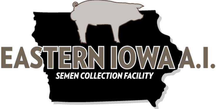 Eastern Iowa A - Eastern Iowa Ai Inc. (734x371), Png Download