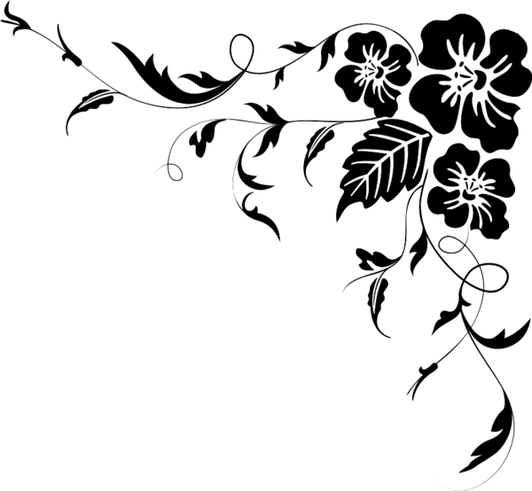 Ornamentos Vectores Png - Graphics And More Hibiscus Flower Simple Wall Vinyl (600x554), Png Download