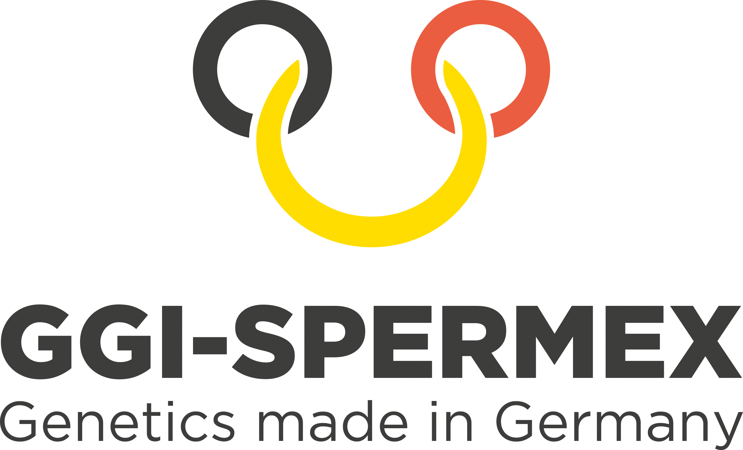 National Flag Of Germany Sportswear (2452x1486), Png Download