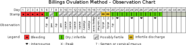 Preview - Métodos Billings (800x238), Png Download