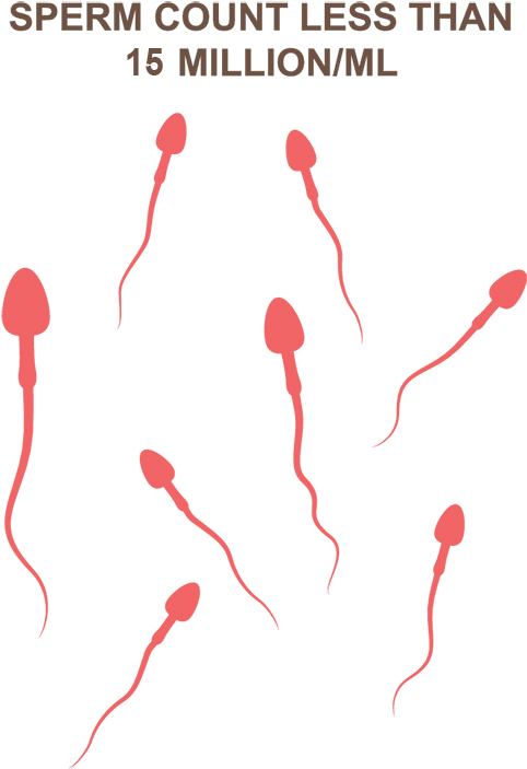 However, The World Health Organisation Classifies A - Oligospermia (500x768), Png Download