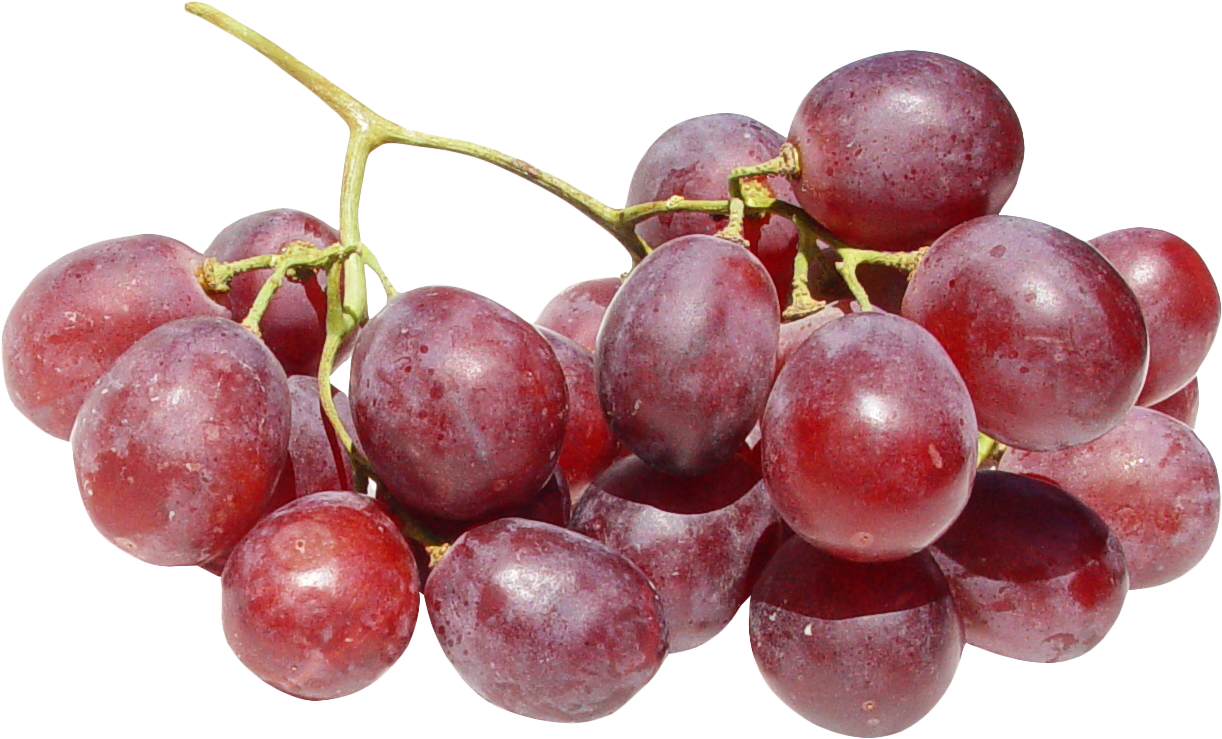 Image - Apples And Grapes Png (1310x832), Png Download