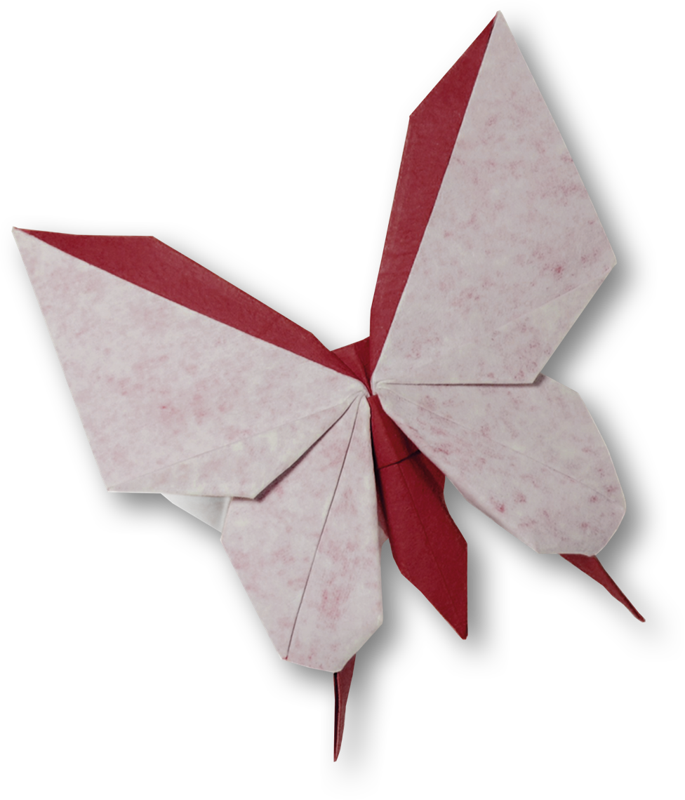 Ki Horigami - Origami Butterfly Png (976x1140), Png Download