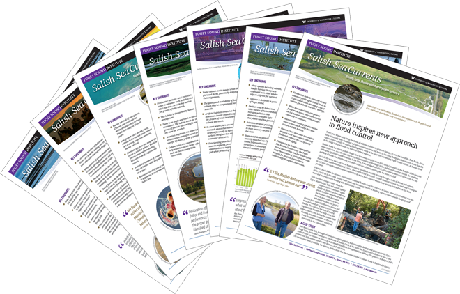 Fan [2] - Puget Sound (660x422), Png Download