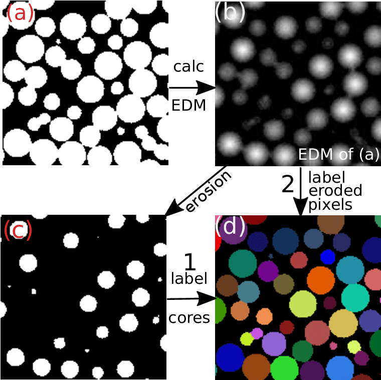 Identifying Particles By Assigning The White Voxels - Euclidean Distance (762x765), Png Download