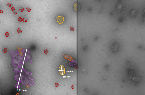 Click To View This White Paper Now - Vaccine (610x400), Png Download