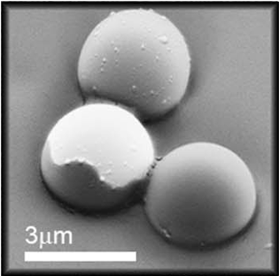 Wetting Properties Of Pt-coated Particles At Water/oil - Monochrome (465x311), Png Download