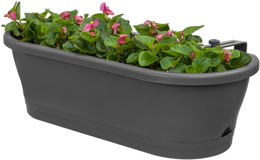 Home > Collection > Corsica Easy Balcony - Corsica Easy Flower Box 58 X 25 X 18 Cm Cherry D / (750x750), Png Download