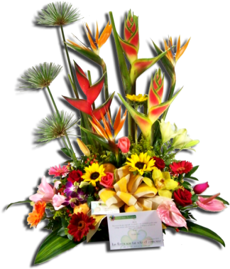 E 04 Variedad De Flores Con Frutas - Table (350x396), Png Download