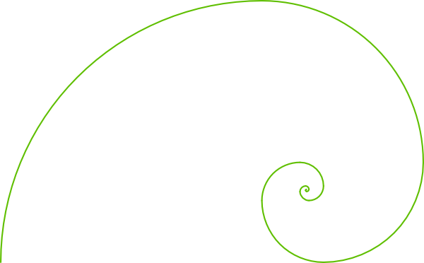 Fibonacci Spiral Olive Clip Art - Vector Spiral Fibonacci (600x372), Png Download