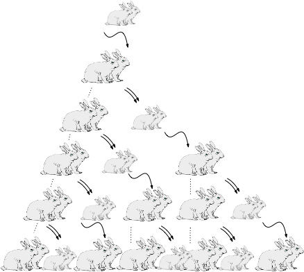 Pattern And Sequence In Real Life (438x392), Png Download