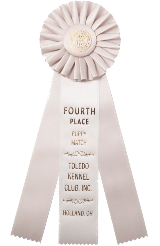 318 Custom Award Rosetterosettesrs 318 2771 - Award (800x800), Png Download