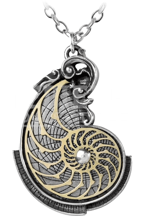 Fibonacci Golden Spiral Pendant - Fibonacci Golden Spiral Pewter Necklace (708x708), Png Download