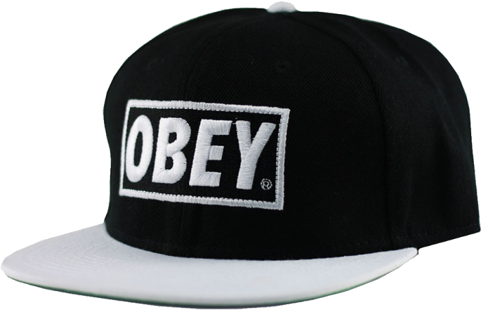 Lnwot Obey Snapback Hat (700x453), Png Download