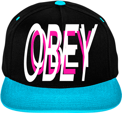 Two Color Wool Snapback - Obey (450x450), Png Download