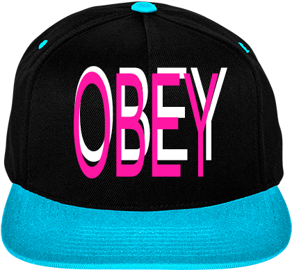 Two Color Wool Snapback - Obey (450x450), Png Download