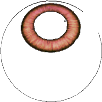 Ojos Nebulous Mundial ~ By - Skins De Olhos Nebulous (480x434), Png Download