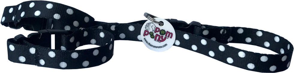 Polka Dot (1200x600), Png Download