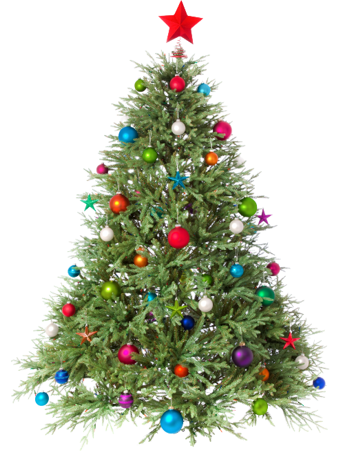 Árvores De Natal Em Png - Decorated Christmas Tree Clipart (498x662), Png Download