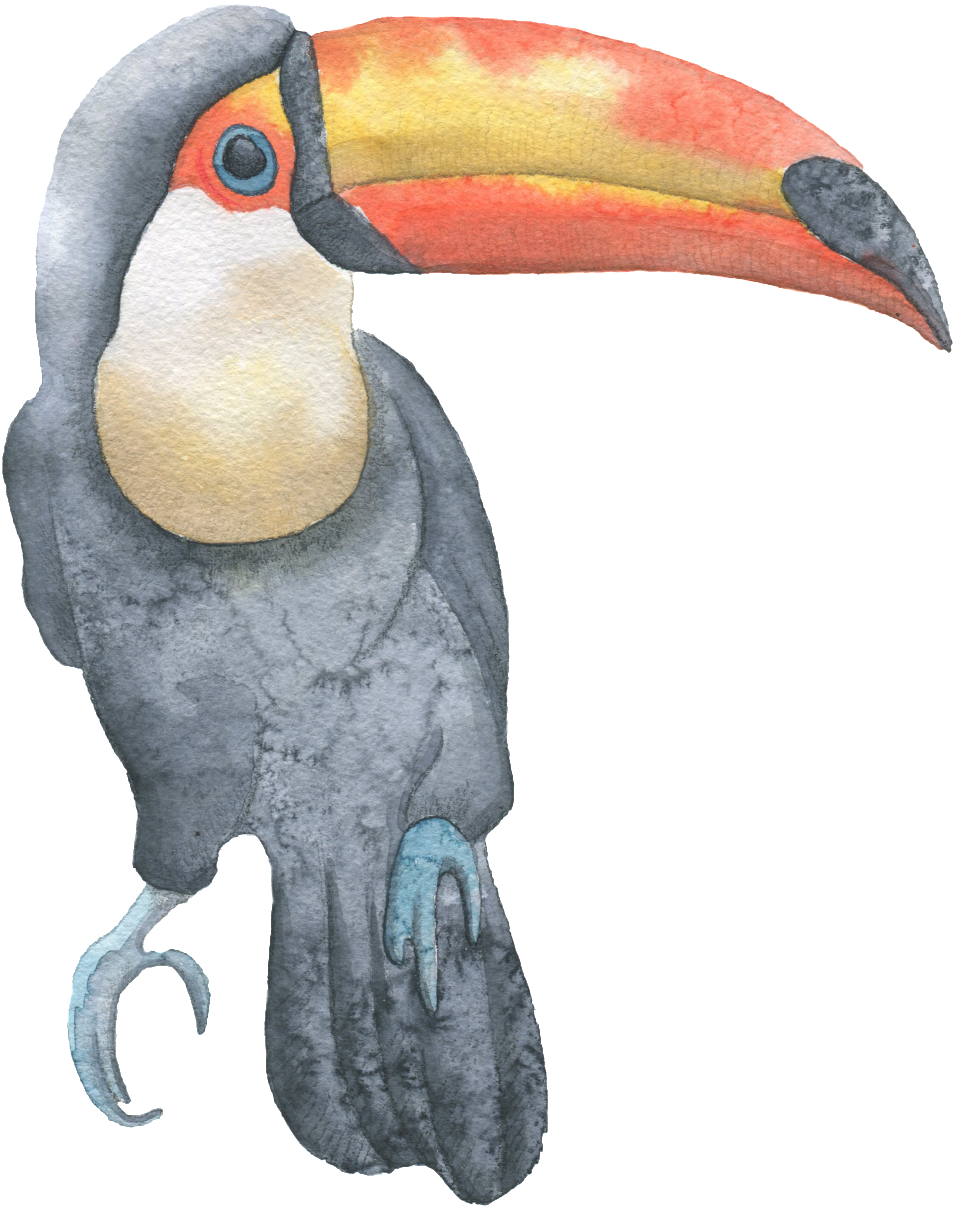 Whale Head Stork Bird Hand Painted Watercolor Transparent - Watercolor Painting (1024x1329), Png Download