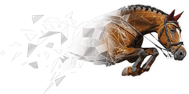 Polygon Horse October Shows Front Lft - Visual Dictionary French - English (639x304), Png Download