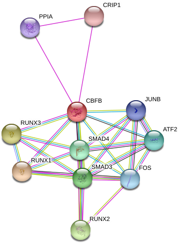 Circle (976x522), Png Download
