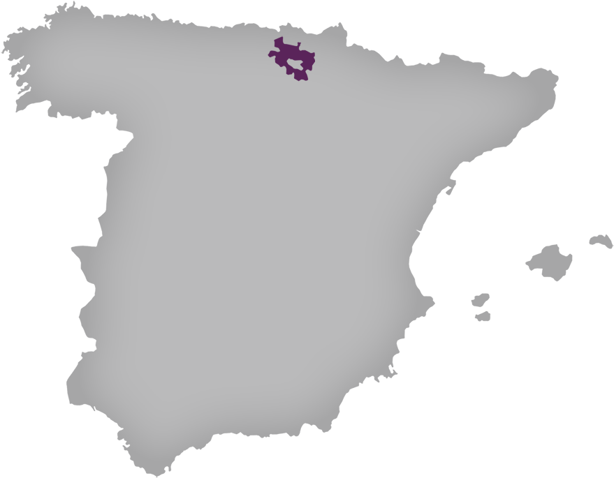 Alava - Half The Population Of Spain (1000x1000), Png Download