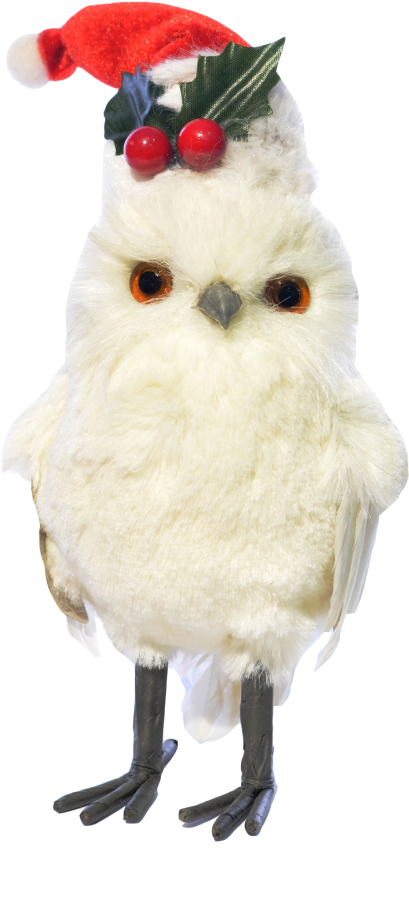 Búho De Pie Blanco Gorro De Navidad De Frente - Christmas Day (600x1067), Png Download