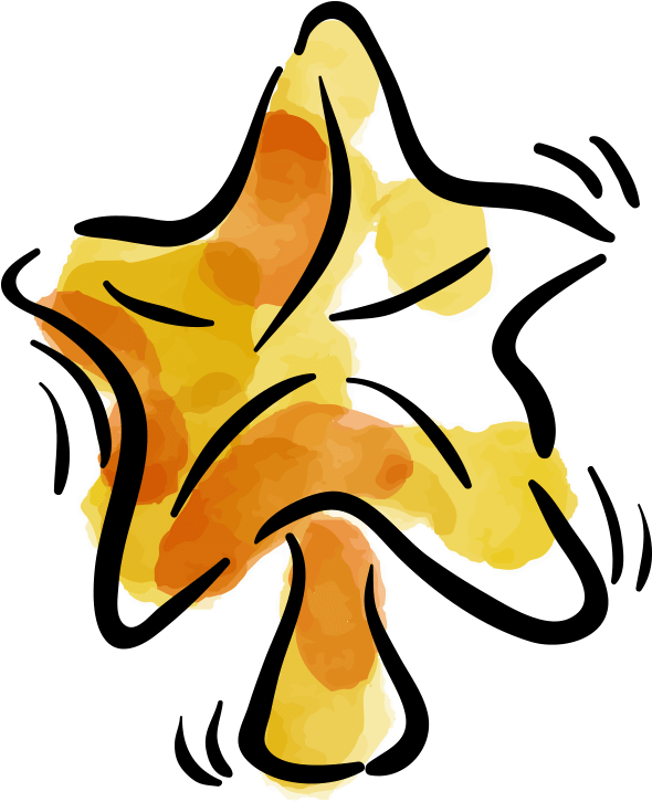 Estrella De Navidad - Online Shopping (1000x998), Png Download