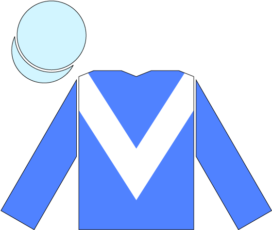 Racing Silks Of Maktoum Al Maktoum - Sheikh Mohammed Racing Colours (568x481), Png Download