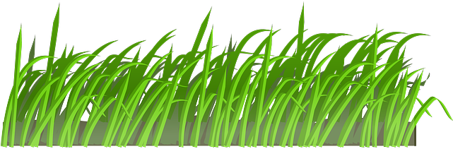 Cartoon-37282 640 - Grass Cartoon Transparent (640x640), Png Download