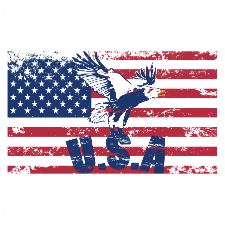 American Flag Eagle - America Flag (451x451), Png Download