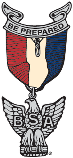 Eagle Badge Png - Eagle Scout Badge (251x525), Png Download