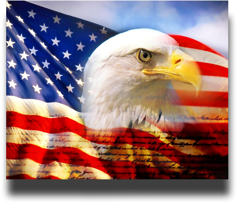 We - American Flag With A Eagle (501x414), Png Download
