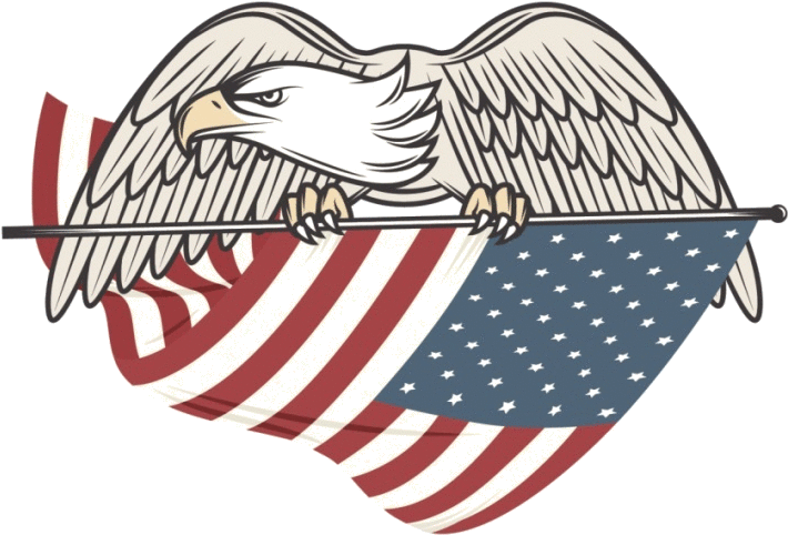 American Flag Eagle Png Other Than Hono - Eagle (730x488), Png Download